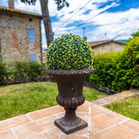 Un Petit Paradis Castiglione Della Valle Екстер'єр фото